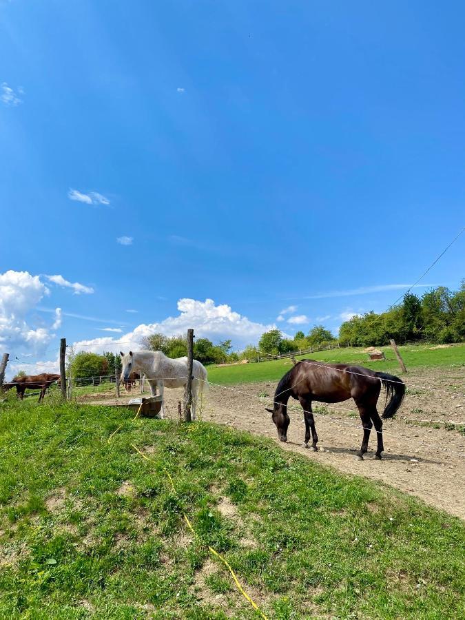 Liptovské Chaty Liptovský Mikuláš Exterior foto